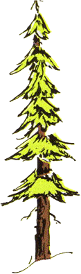 tree.gif (24157 bytes)
